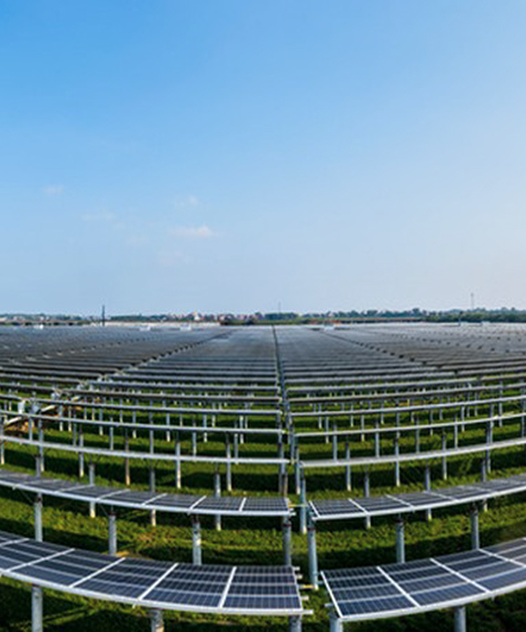 Solavita ground-mounted solar panel farm with large-scale photovoltaic arrays
